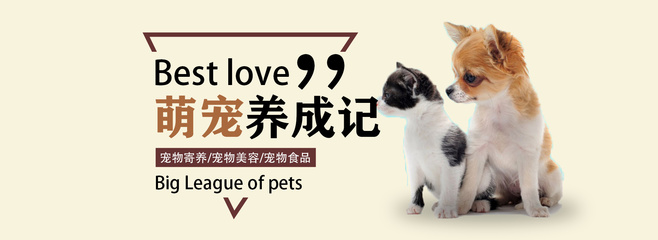 模拟农场22天赋怎么加点